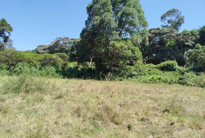 Commercial Land at Karen