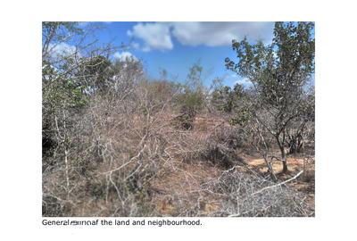 Land in Malindi