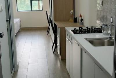 Studio Apartment with En Suite in Juja