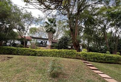 Commercial Property with Fibre Internet in Lavington