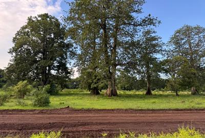 Residential Land in Vipingo - 4