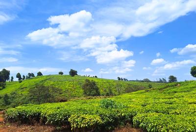 1 ac Residential Land at Tigoni