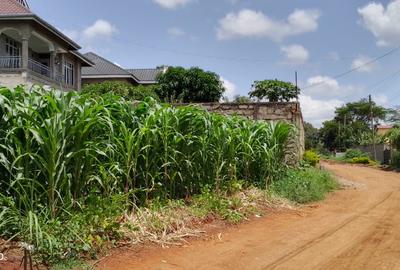 0.25 ac Residential Land at River Side Drive - 2