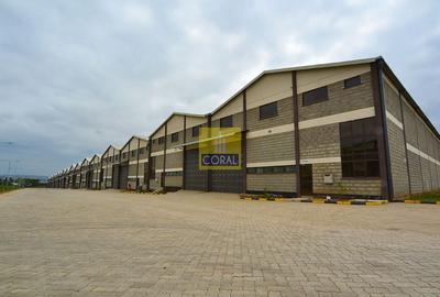 Warehouse with Cctv in Athi River