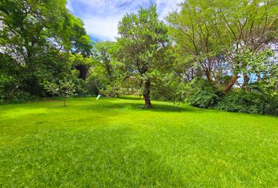 5 Bed House with En Suite in Kitisuru - 3