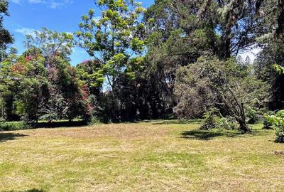 2.2 ac Land at Mbazi Avenue - 2