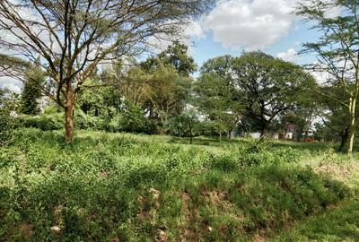 Land at Roysambu