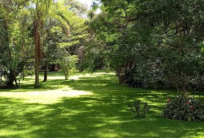 Land in Karen - 2