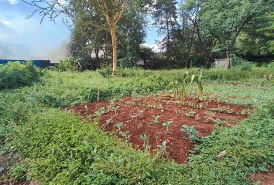 Commercial Land at Off Peponi Road - 2