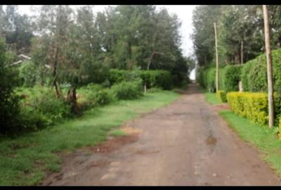 Land in Nanyuki