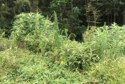 Residential Land in Kitisuru