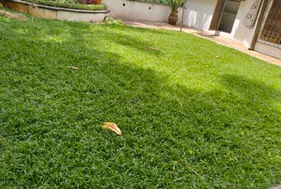 4 Bed Townhouse with En Suite in Kilimani - 3