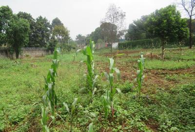 Residential Land at Runda