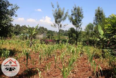 800 m² Residential Land at Kamuita Area - 4