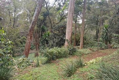 Residential Land at Donyo Sabuk