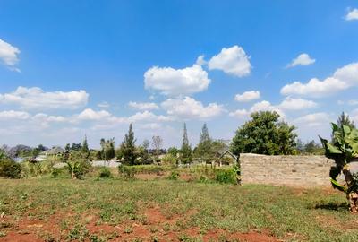 Residential Land at Ruiru Mhasibu - 4