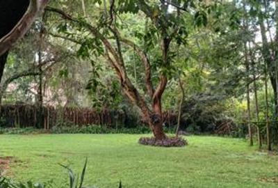 0.89 ac Land at Amboseli Lana