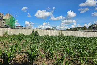 0.5 ac Land at Ruiru - 2