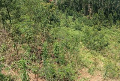 Residential Land at Runda - 2