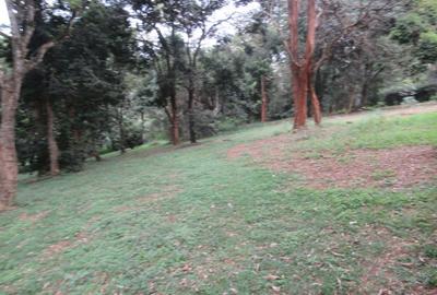 4 ac Land at Mushroom Gardens
