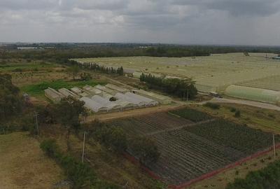 3.5 ac Land at Opposite Pj Dave