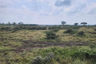 Land in Rumuruti