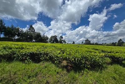 10 ac Residential Land in Tigoni - 3