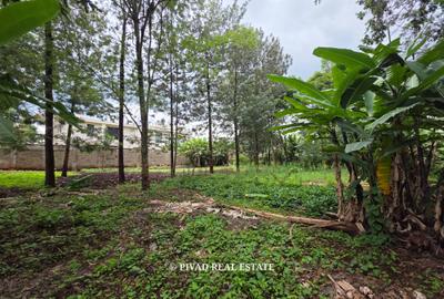 0.5 ac Land in Kitisuru - 4