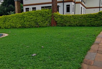 3 Bed House with En Suite in Karen