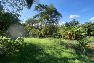 1.25 ac Residential Land in Kyuna