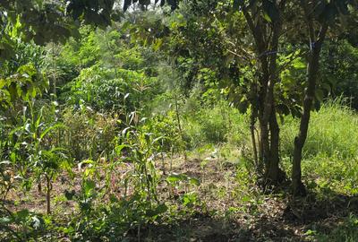 Residential Land in Ongata Rongai - 2