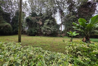 Land in Ngong Road - 3