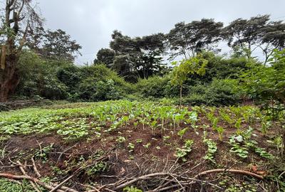 5 ac Land in Kitisuru - 2