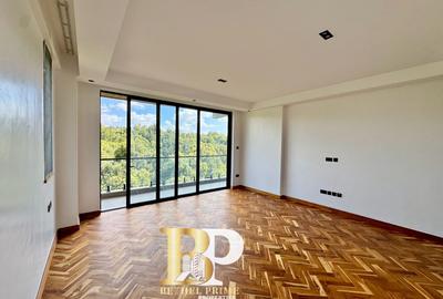 4 Bed Apartment with En Suite in Spring Valley - 4
