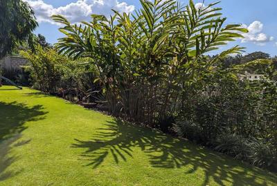 Furnished 2 Bed Apartment with En Suite in Kitisuru