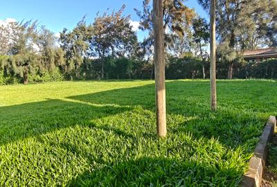 0.5 ac Commercial Land in Karen