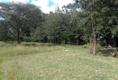 Commercial Land in Karen