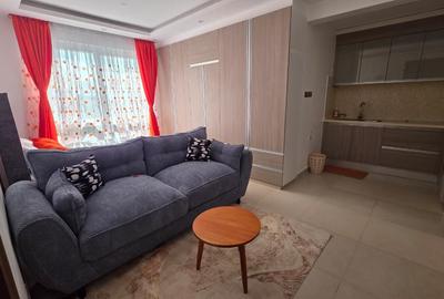 Furnished Studio Apartment for Rent in Westlands Area
