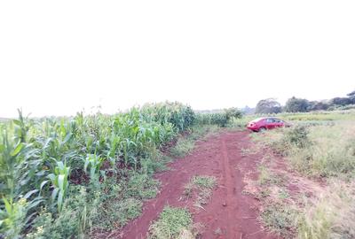 Land at Kitisuru Kirawa