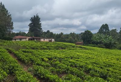 10 ac Land at Tigoni - 4