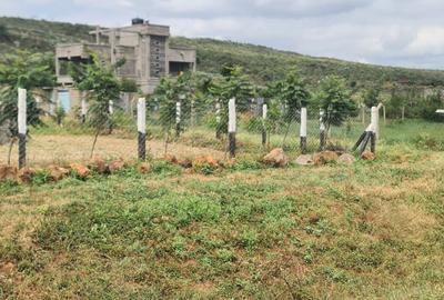 Commercial Land at Ngog Plots - 2