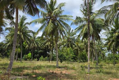 6 ac Land at Bomani