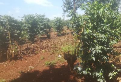 403 ac Land at Near Tatu City Estate