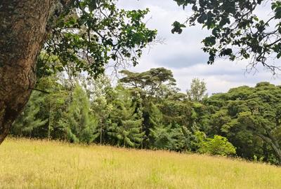 Residential Land at Karen - 2