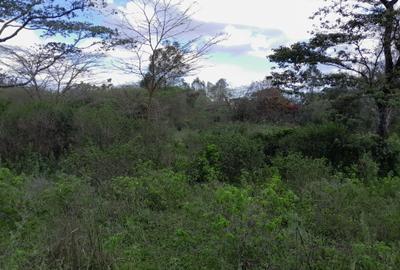 Land in Karen