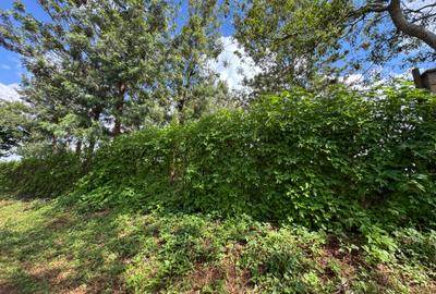 Land in Eastern ByPass - 2