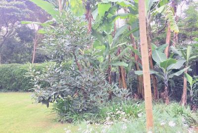5 Bed Townhouse with En Suite in Kitisuru