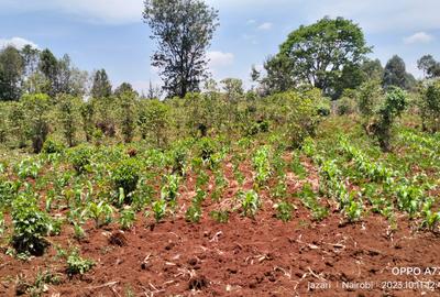 Residential Land at Muhuri Road