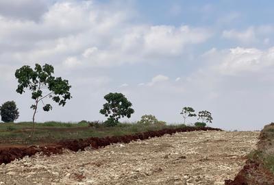 Land at Bob Harris Road - 2