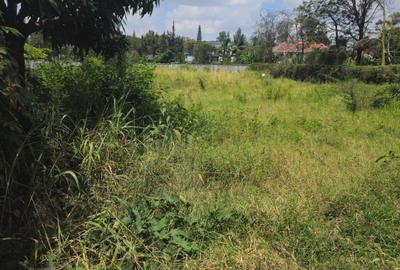 0.6 ac Land at Rundaevergreen - 3